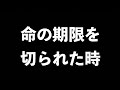【命の期限を切られた時】両親の最期が教えてくれた事✋