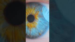 the Fascinating Facts About your Cornea.!!!👁️👁️‍🗨️👀#health #anatomy #facts