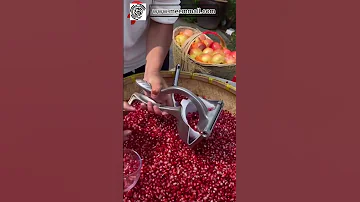 Manual Juicer Fruit Press Juicer Made Of Heavy Duty Aluminum Alloy For All Fruits 