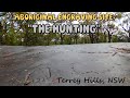 Awesome site with very distinct aboriginal engravings in terrey hills nsw  the hunting site