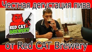 Честная дегустация пива от Red Cat Brewery