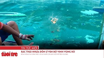 Rác thải nhựa dồn ứ ven bờ vịnh Vũng Rô