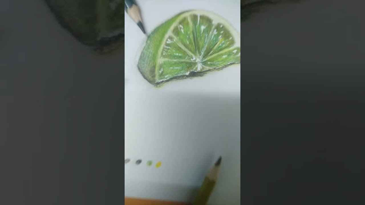 lime drawing with colour pencil day2 