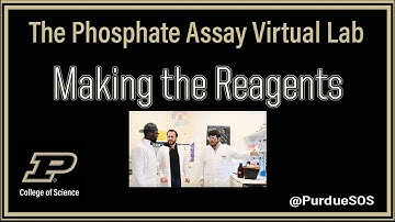 The Phosphate Assay Virtual Lab: Making the Reagents
