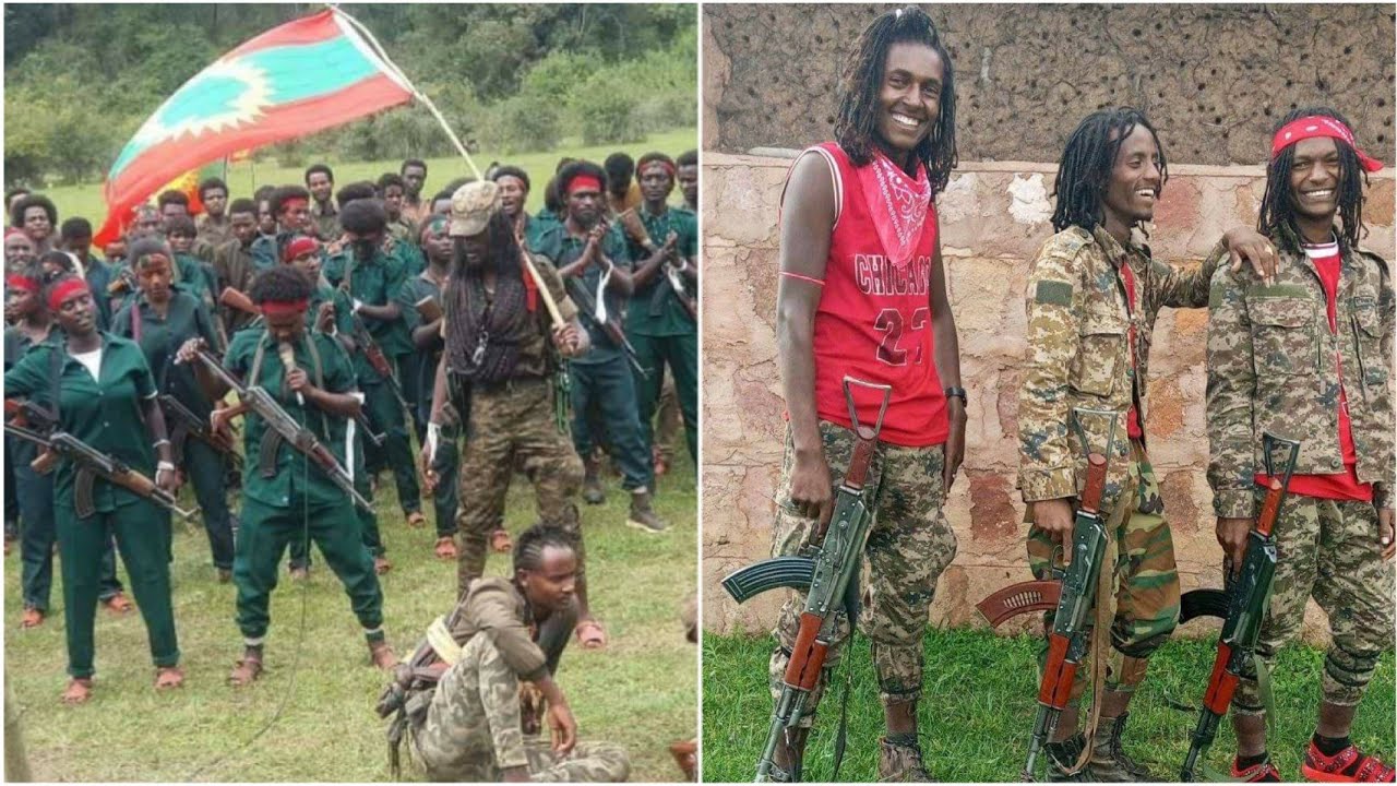 Oduu Hatattama Guyyaa Haŕ Aa Afan Oromo Oduwwan Jajjabo Injfannowbo