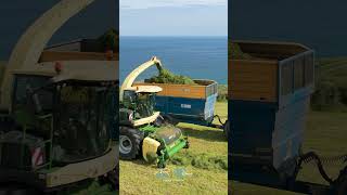 Krone Big X 980 At Grass