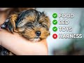 Bringing Home a New Puppy Checklist