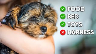 Bringing Home a New Puppy Checklist