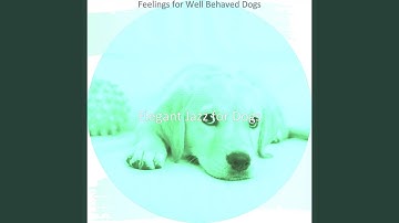 Pulsating Smooth Jazz Saxophone - Vibe for Well Behaved Dogs