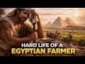A Day in the Life of an Ancient Egyptian Farmer