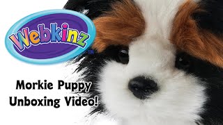 Webkinz Morkie Puppy Unboxing Video 