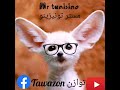 مستر تونيزينو ينصحكم