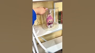 This rotating display case holds 6 Labubus dolls and keeps them dust free