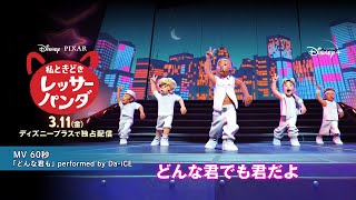 『私ときどきレッサーパンダ』｜「どんな君も」performed by Da-iCE MV 60秒｜Disney+ (ディズニープラス）