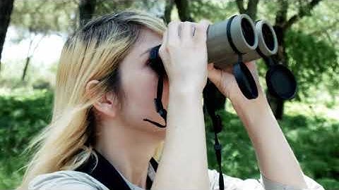 Observation International - Introduction