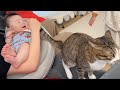赤ちゃんをあやす猫しっぽ A Cat's Tail Soothing a Baby
