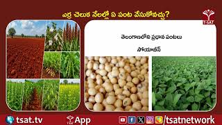 ఎర్ర చెలుక నేలల్లో ఏ పంట వేసుకోవచ్చు ? | T-SAT