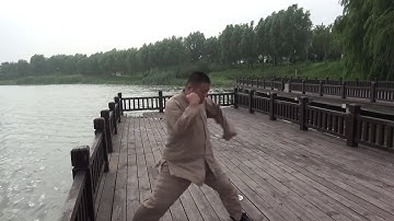 Chen Taijiquan Xiaojia Fa Jin by master Sha Changan