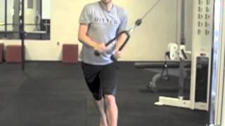 Lunge Woodchop + Cable