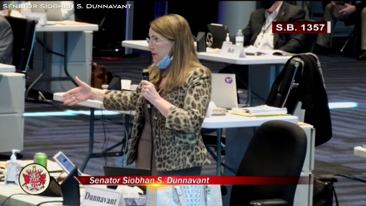 Senator Siobhan Dunnavant Speaking to SB1357 on the Senate Floor