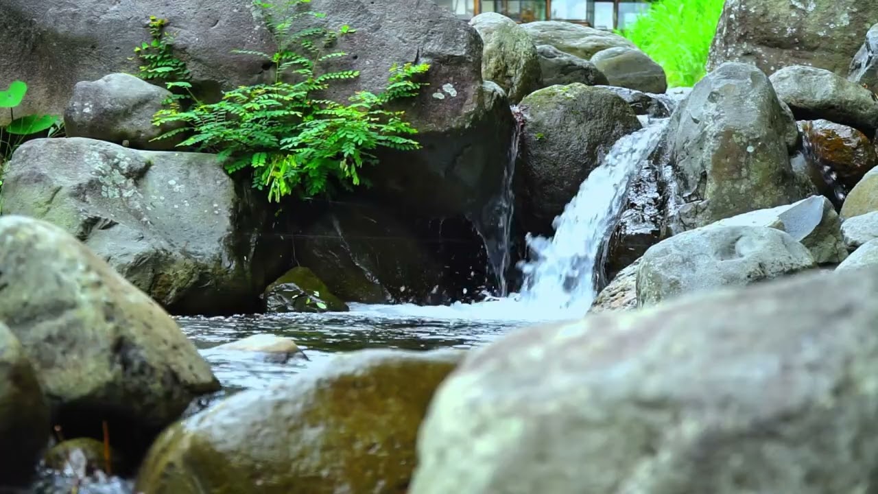 Relaxing River Sounds for Studying and Focus | Soft Flowing Water Ambience