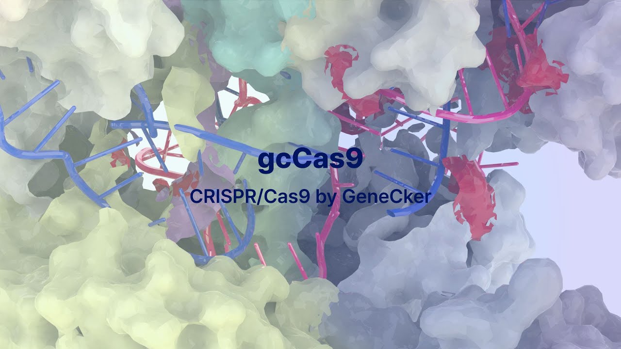 CRISPR/Cas9 by GeneCker : Cleavage the target sequence