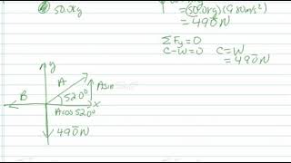 Newton's 1st Law - Equilibrium