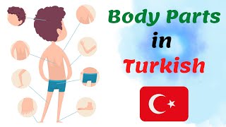 Body Parts in Turkish | Learn Turkish Body Parts | Animated
