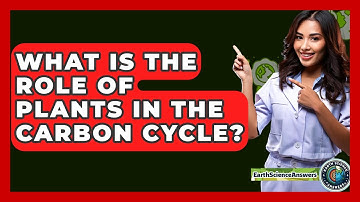 What Is The Role Of Plants In The Carbon Cycle? - Earth Science Answers