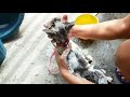 How to bathe a cat that hates water  | Craziest Cat