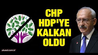 Chp Hdpye Kalkan Oldu