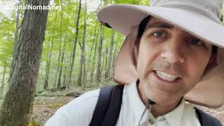 Lost + Mary Davis + Rubens Branch Trails HIKE in 4K | Beech Fork State Park | Barboursville, WV