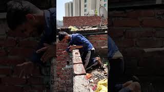 kalu yaha par Kaise?😅 #chickenlovers #pets