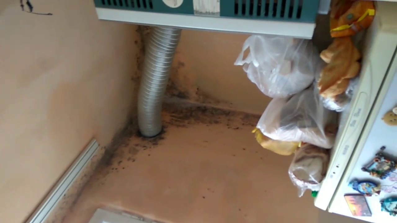 Апэ Канал Единец НЕ ХОЧЕТ РАЗБИРАТЬСЯ.