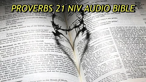 PROVERBS 21 NIV AUDIO BIBLE(with text)