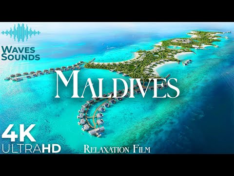 Video: Experiențe de top în natură în Maldive
