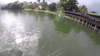 fishing bass in puerto rico