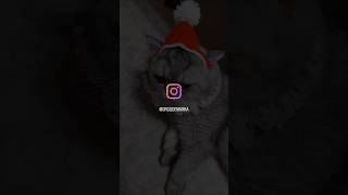 Bu Yıl En Çok Hangi Ürünümü Sevdiniz?