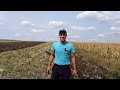 😱 Розхід соляри на гектар  Шифенг 244 СI ❗ Оранка міні-трактором Шифенг❗ Плуг своїми руками ❗