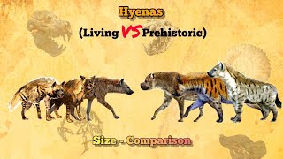 HYENAS - Size Comparison | Extant vs Extinct | All Species.