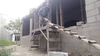 Como Hacer Una Pared Bien Reforzada