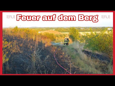 🚒Mehrere tausend Quadratmeter FLÄCHENBRAND auf dem Heiterblicker Berg🔥FEUERWEHR im Großeinsatz🚒