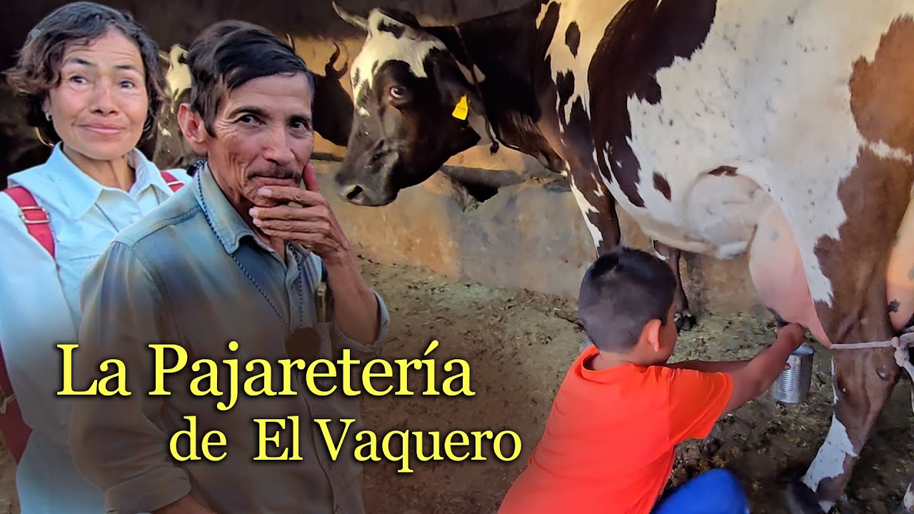 ENSEÑANDO A LAS NUEVAS GENERACIONES a ORDEÑAR VACAS