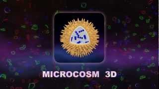 Science - Microcosm 3D