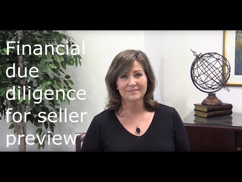 Financial due diligence for the business seller - class preview
