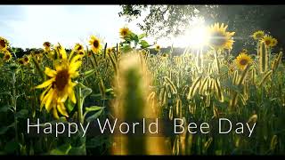 Happy World Bee Day - Ever seen a bee performing a somersault ? screenshot 4