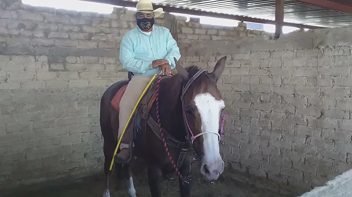 NUEVO VIDEO GUADALUPE LARA ARRENDADOR