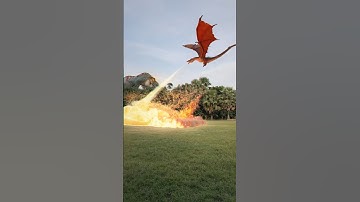 Dragon Attacks with Fire Breathing 🔥 🔥 #dragon #dragonattack #dinosaur #shorts