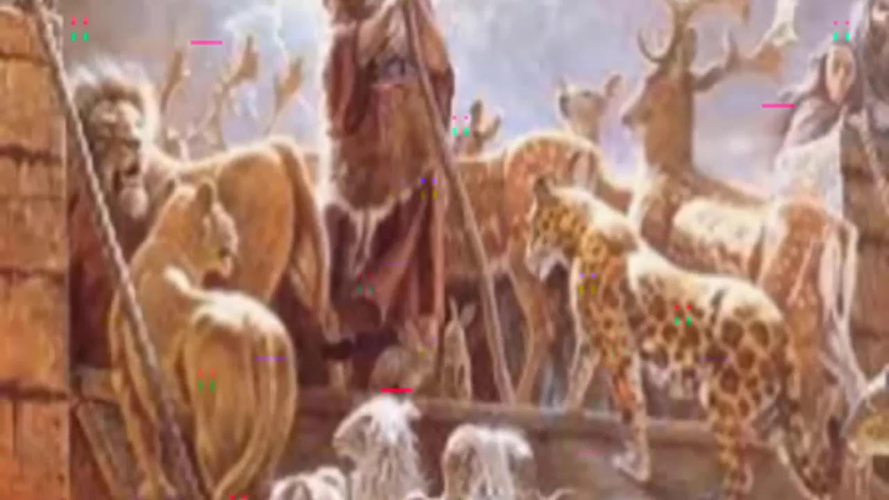 ejemplos amonestadores de Noe para nuestras vidas felicidad meaning