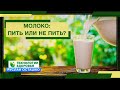 Молоко: пить или не пить?  (Руслан Осташко)